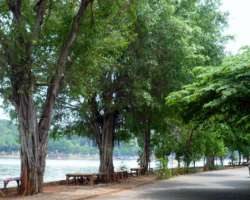 The village is surrounded by different plants including coconut, guava, and banana plants creating a beautiful scenario for the visitors The village is surrounded by different plants including coconut, guava, and banana plants creating a beautiful scenario for the visitors.
